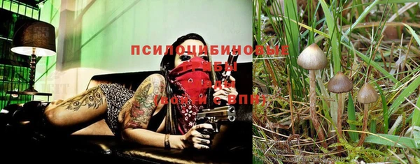 стафф Баксан