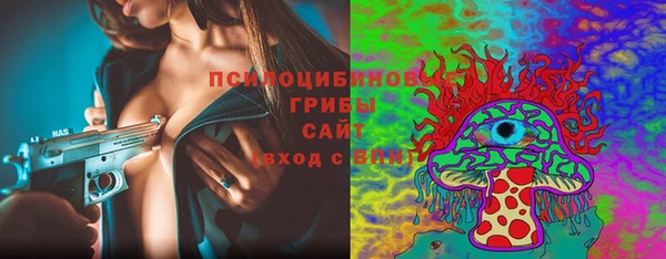 стафф Баксан