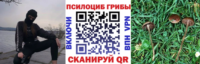 omg ССЫЛКА  Лянтор  darknet телеграм  Галлюциногенные грибы Psilocybine cubensis 